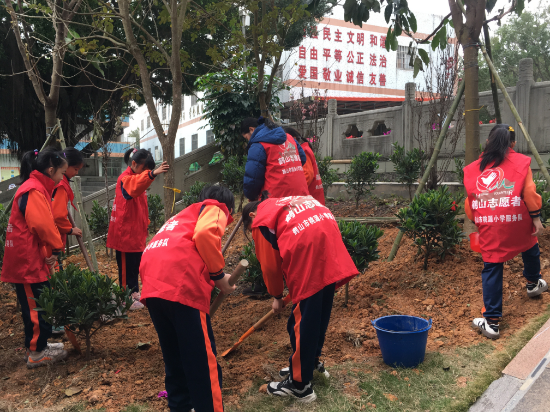 鶴山市桃源鎮(zhèn)桃源小學(xué)開展了植樹志愿服務(wù)的活動.jpg